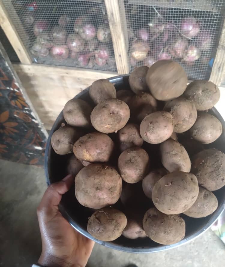 Aho Iwanyu Ikiro Cy'Ibirayi Kiri Kugura Angahe?