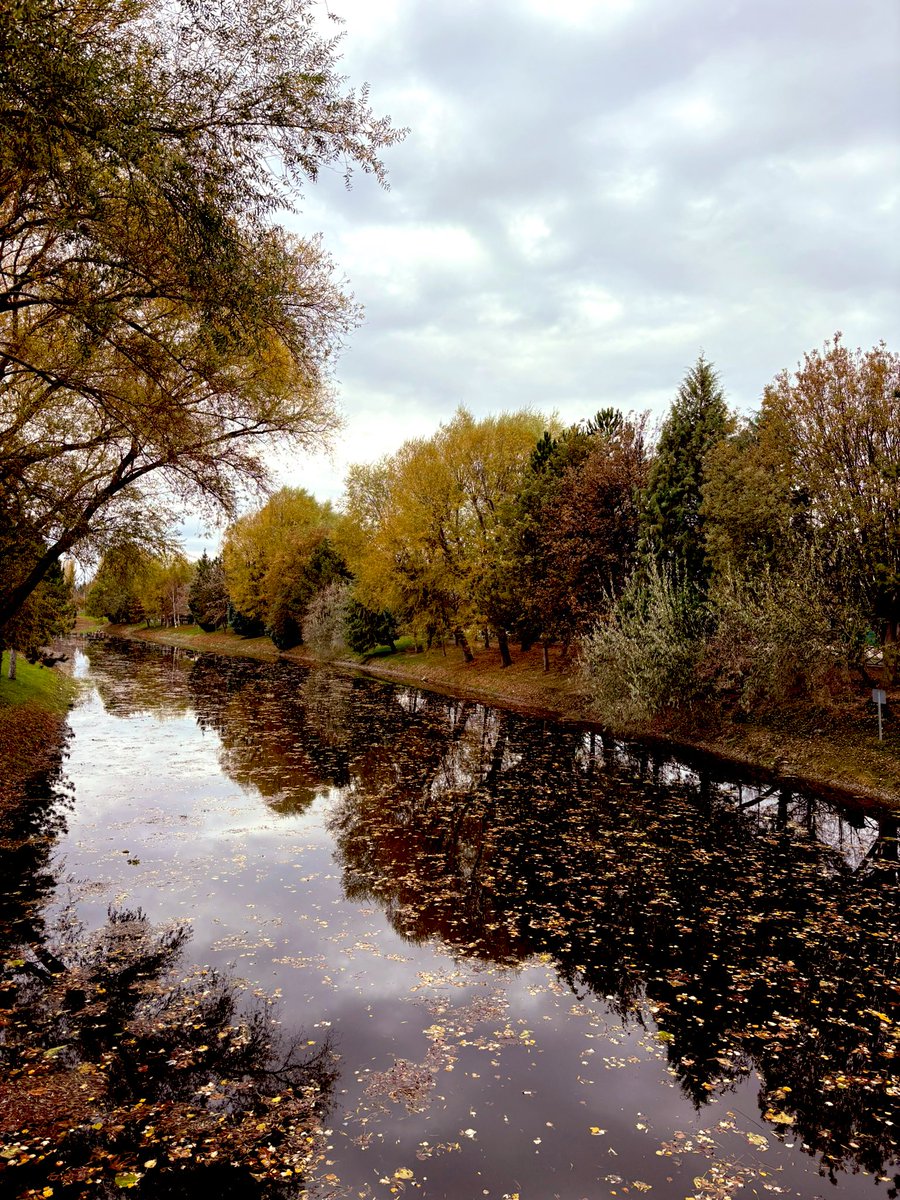 Eskişehir’de sonbahar gerçekten sanat 🍁🍂🤎