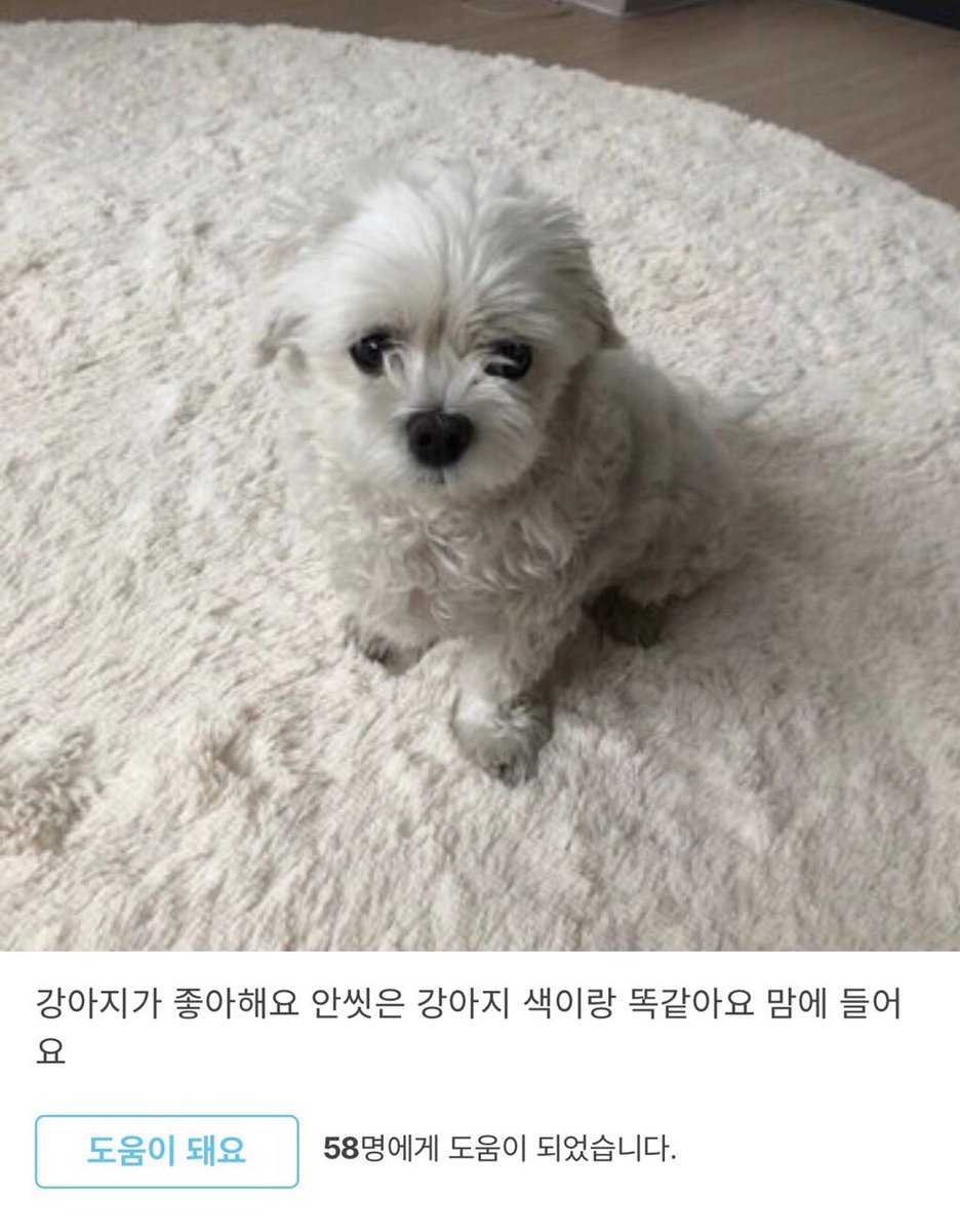 안 씻은 강아지 색이랑 똑같아요