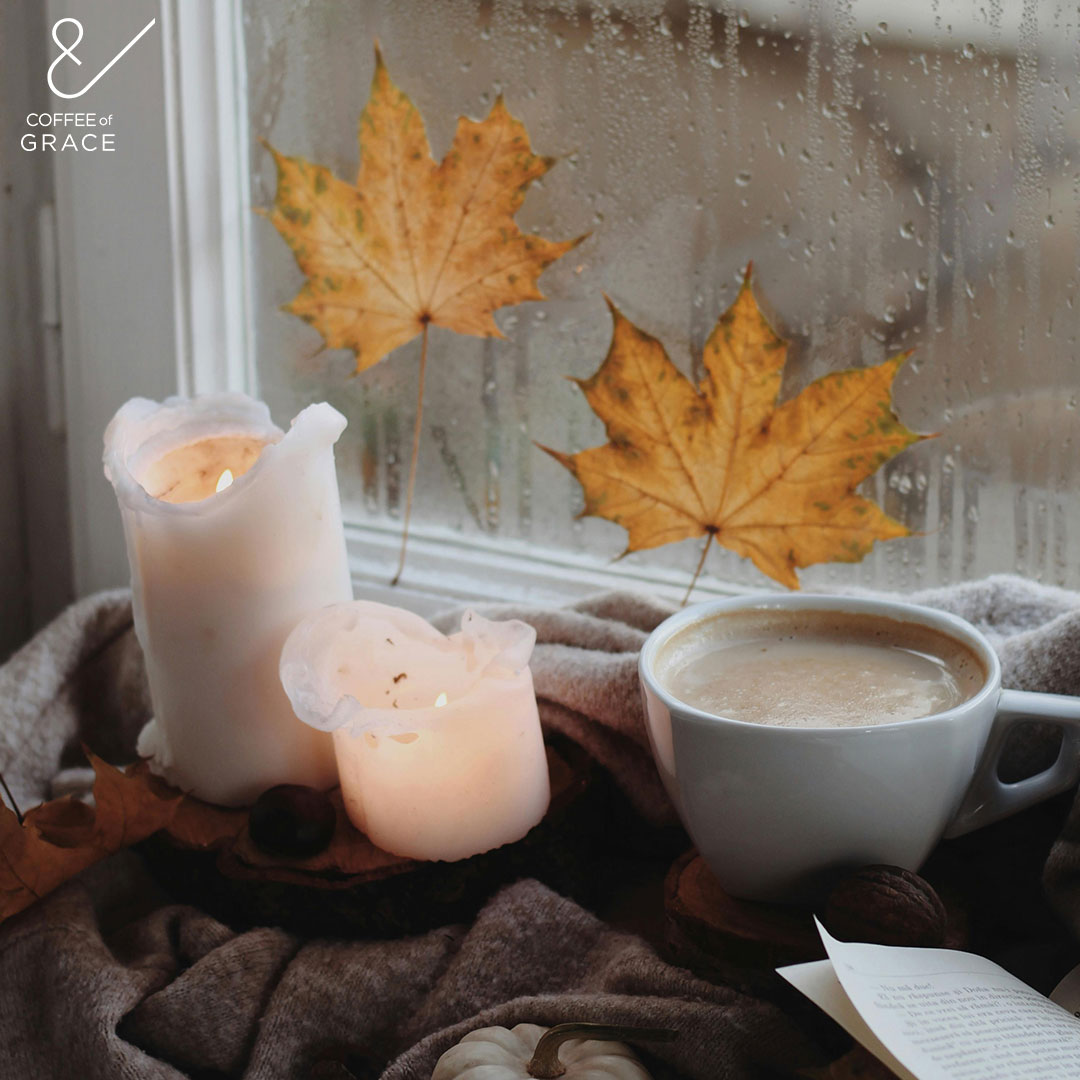 Start your day the graceful way. ✨
A deep breath, a fresh brew, and a reminder that small moments make big days.
#CoffeeOfGrace #MindfulMorning #BrewJoy