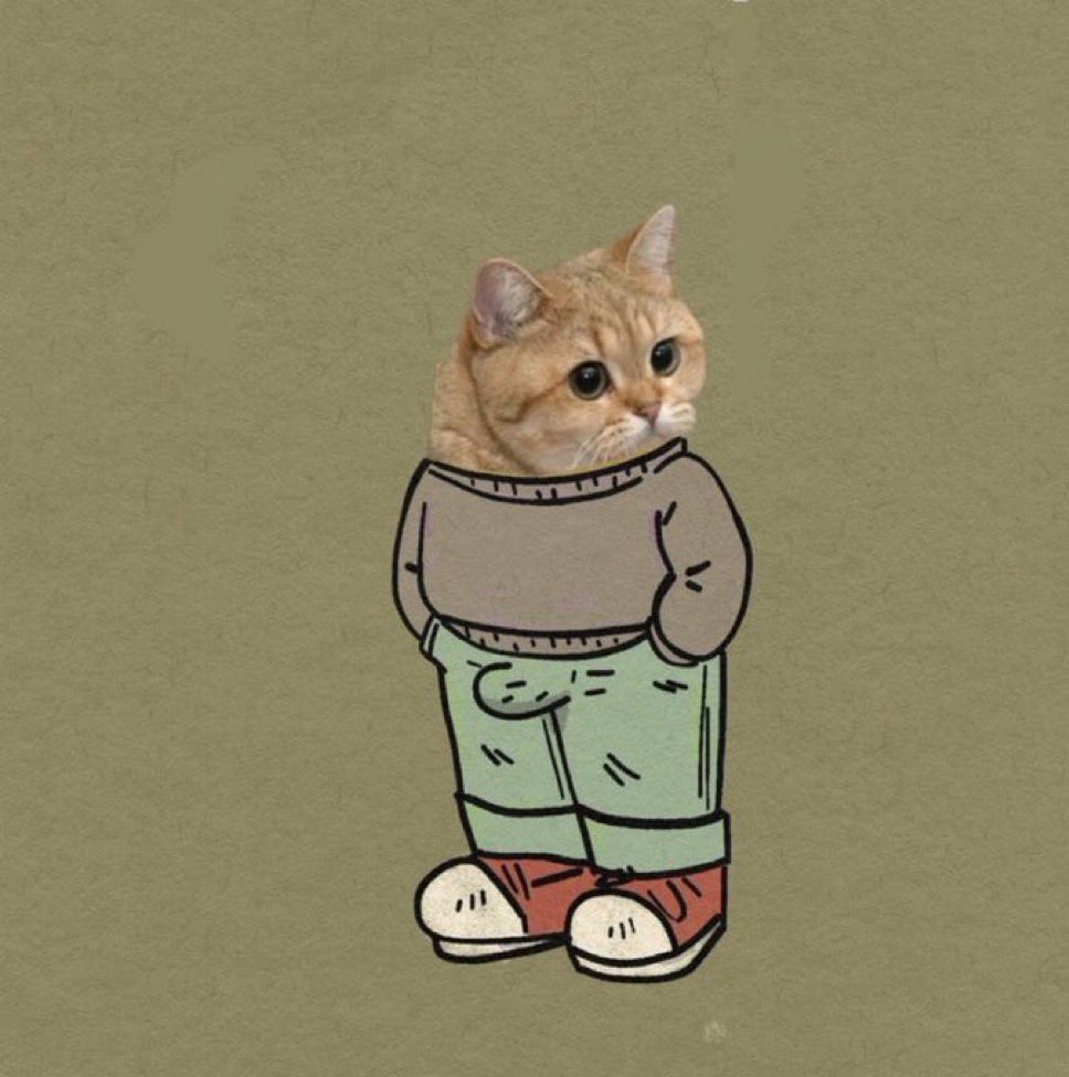 I’m just a chill cat that stares