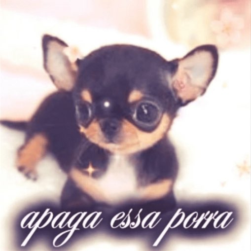 farmingwaura tweet media