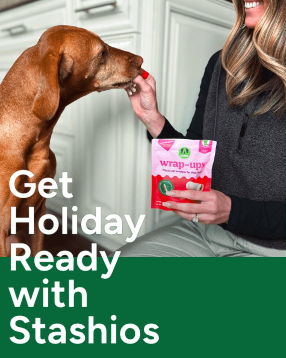 Let the holiday prep begin! 🎁🐶