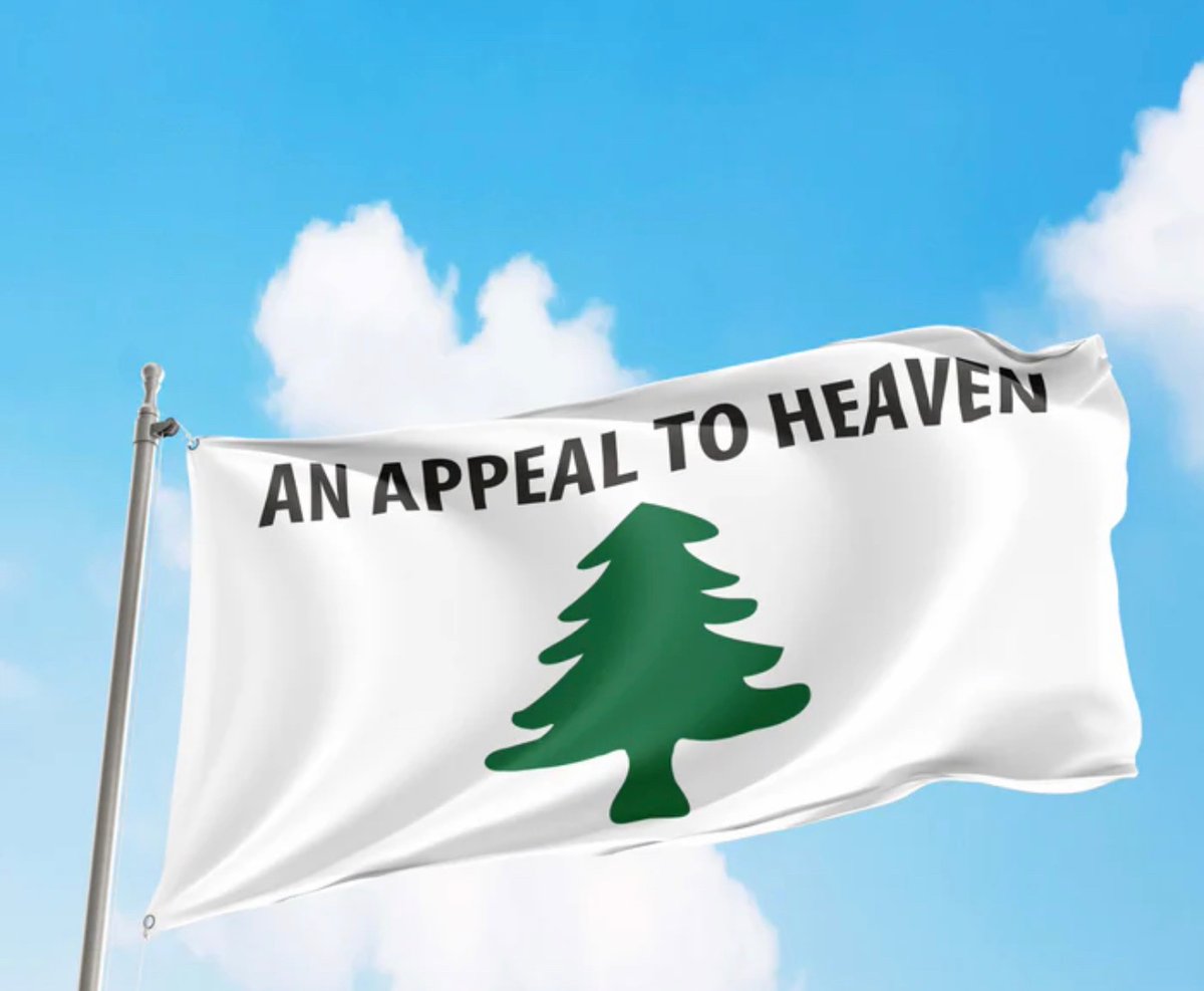 PullTheShade3's tweet image. @kellymarklive 

The #StringofPearls this morning
#HeinzSightNow 
#PlantATree better yet
#GrowASpine