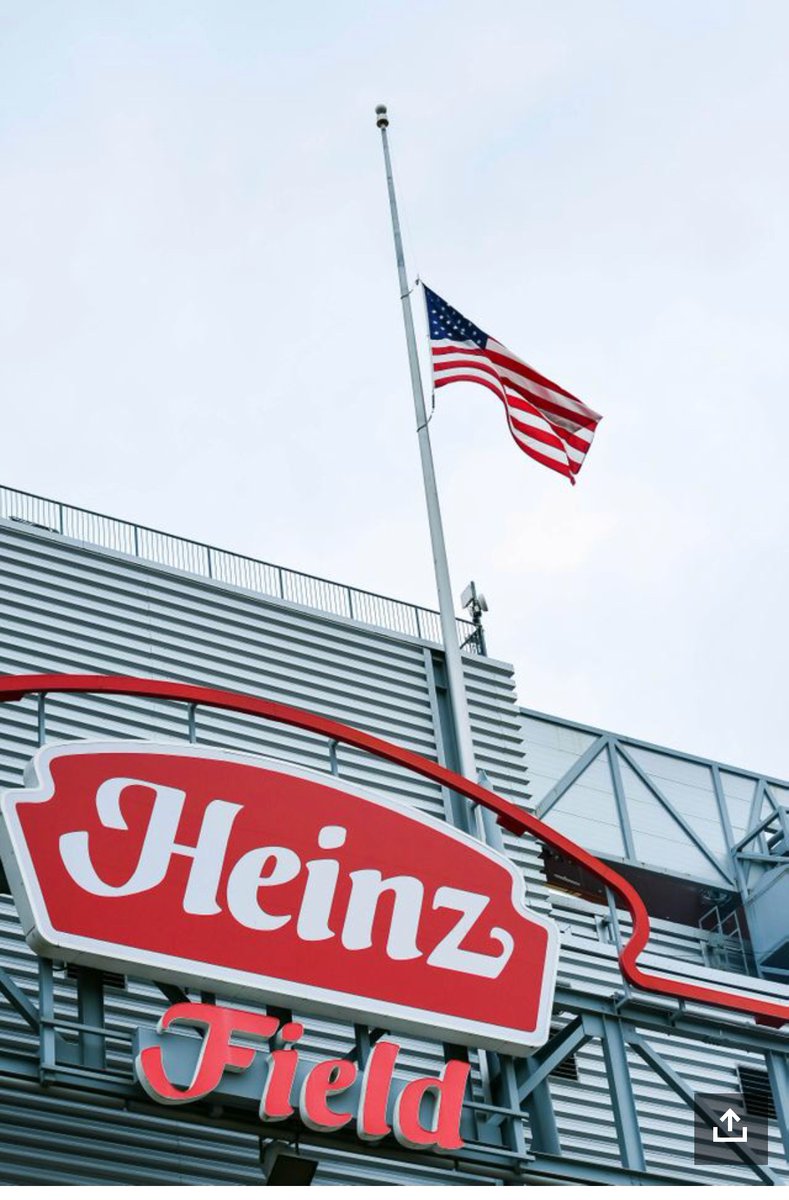 PullTheShade3's tweet image. @kellymarklive 

The #StringofPearls this morning
#HeinzSightNow 
#PlantATree better yet
#GrowASpine