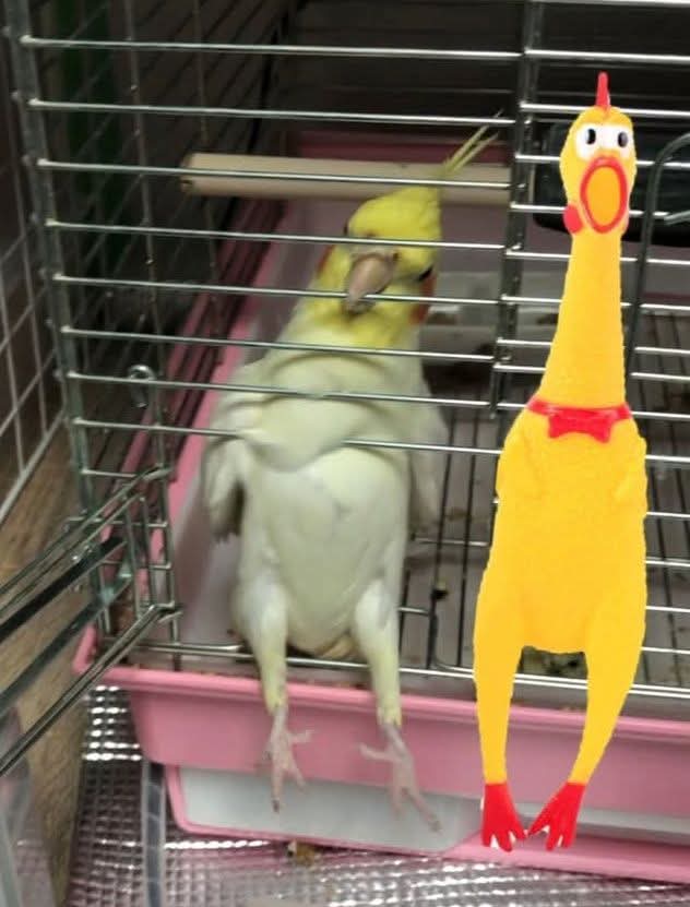 ohana (@ohana16mebius) / Posts / X