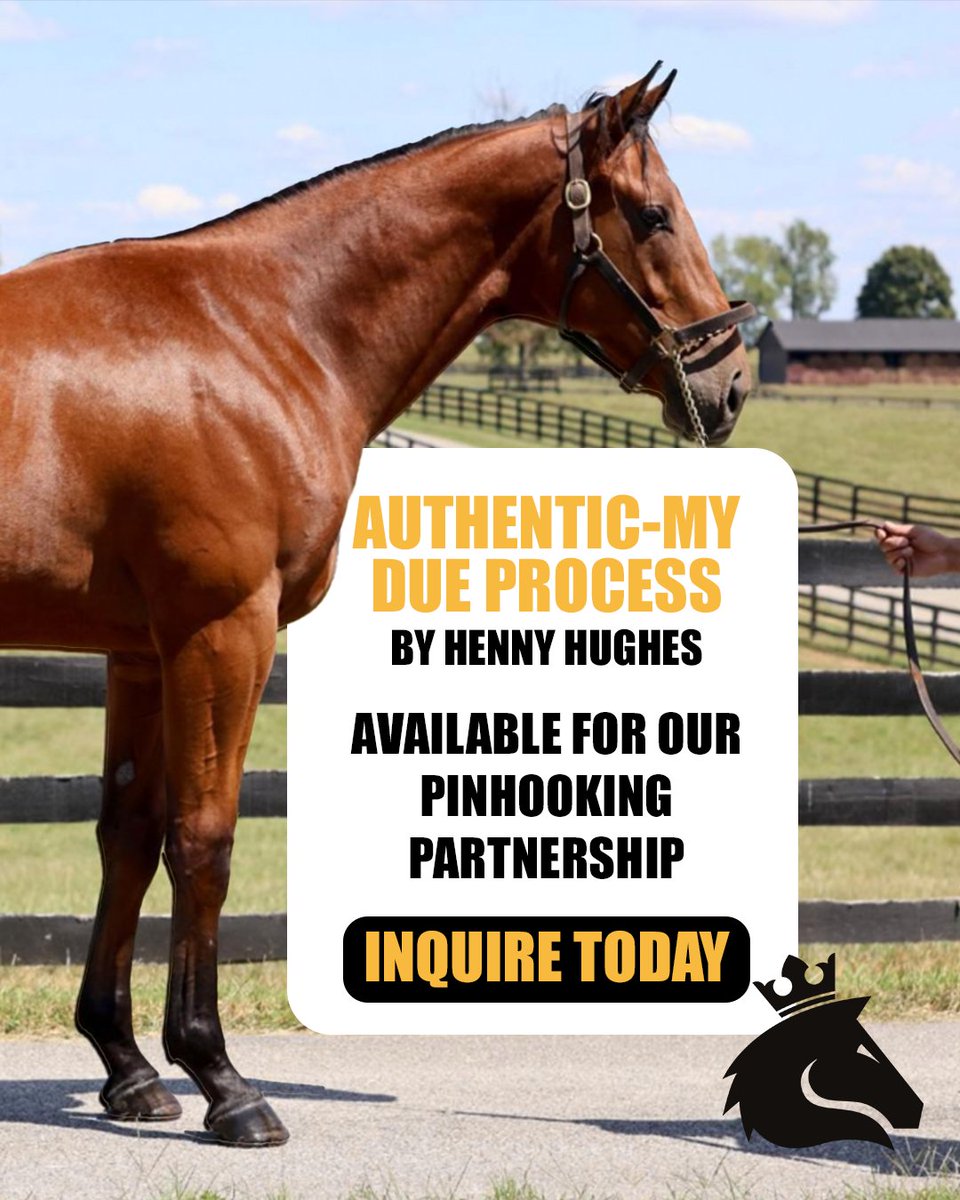 sportofkingstc's tweet image. Meet Authentic-My Due Process by Henny Hughes, an exciting pinhooking opportunity.

Pinhooking partnerships are available now! Don’t miss your chance to be part of his journey. sokracing.com/pinhooking

#SportOfKingsRacing #Pinhooking #HorseRacing #ThoroughbredRacing