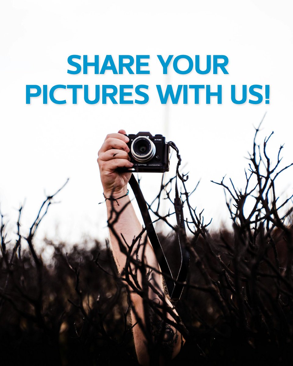 We love seeing how you encounter the beauty of God’s creation in your everyday life. Tag us in your photos or send us a message to show us what you’ve discovered in nature this season. 🤳🌳