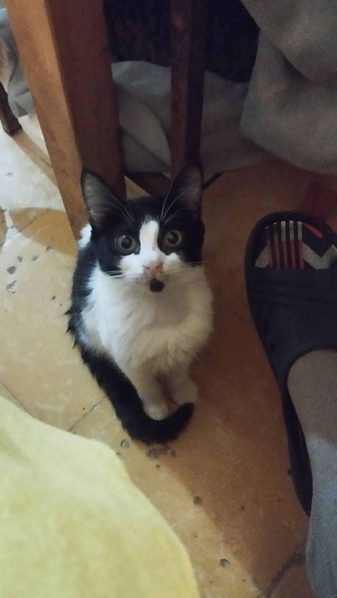 Luisa Rodri El hogar de los paraliticos tweet media