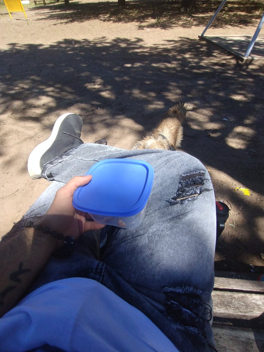 Me vine a tomar mates con mi perro y me puse a pensar: seré un viejo choto por traer masitas en un tupper? 🤔
Encima son las que tienen semillitas