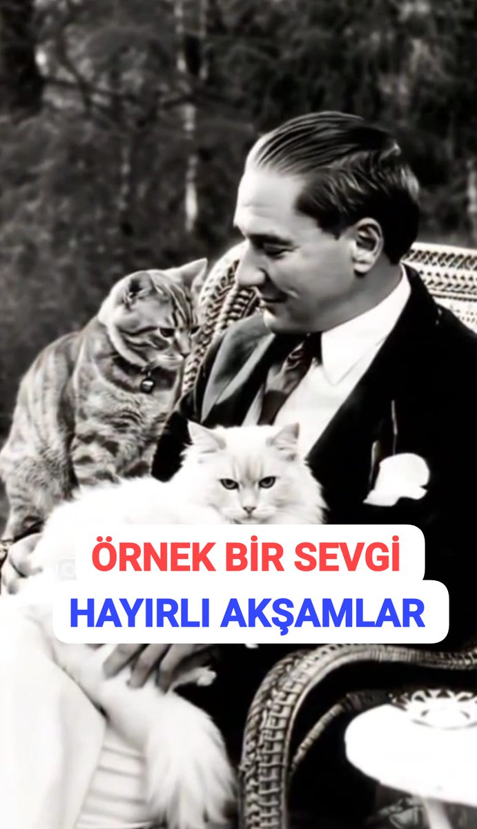 Hayrullah ATALAY (@atalayhayrulla2) on Twitter photo 