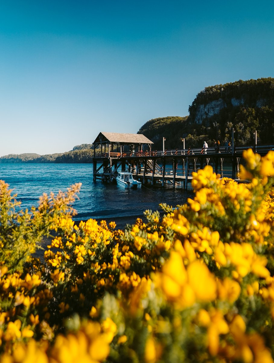 Turismo Neuquén tweet media