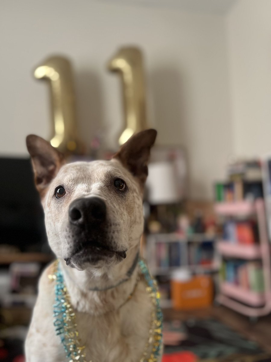 Daddy Mothra ✨ tweet media