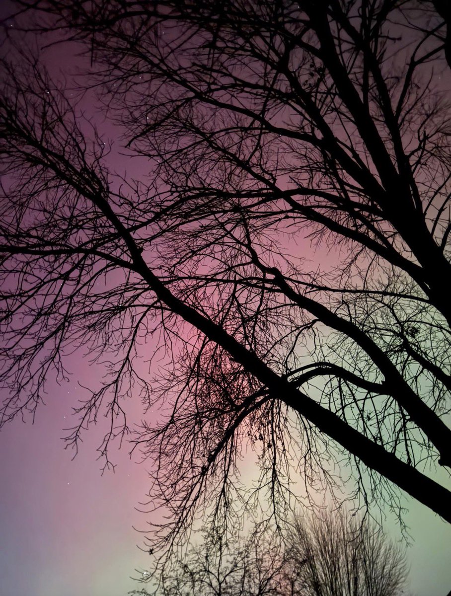 RobMetax's tweet image. Good morning 🌞 

Happy Wednesday ✨