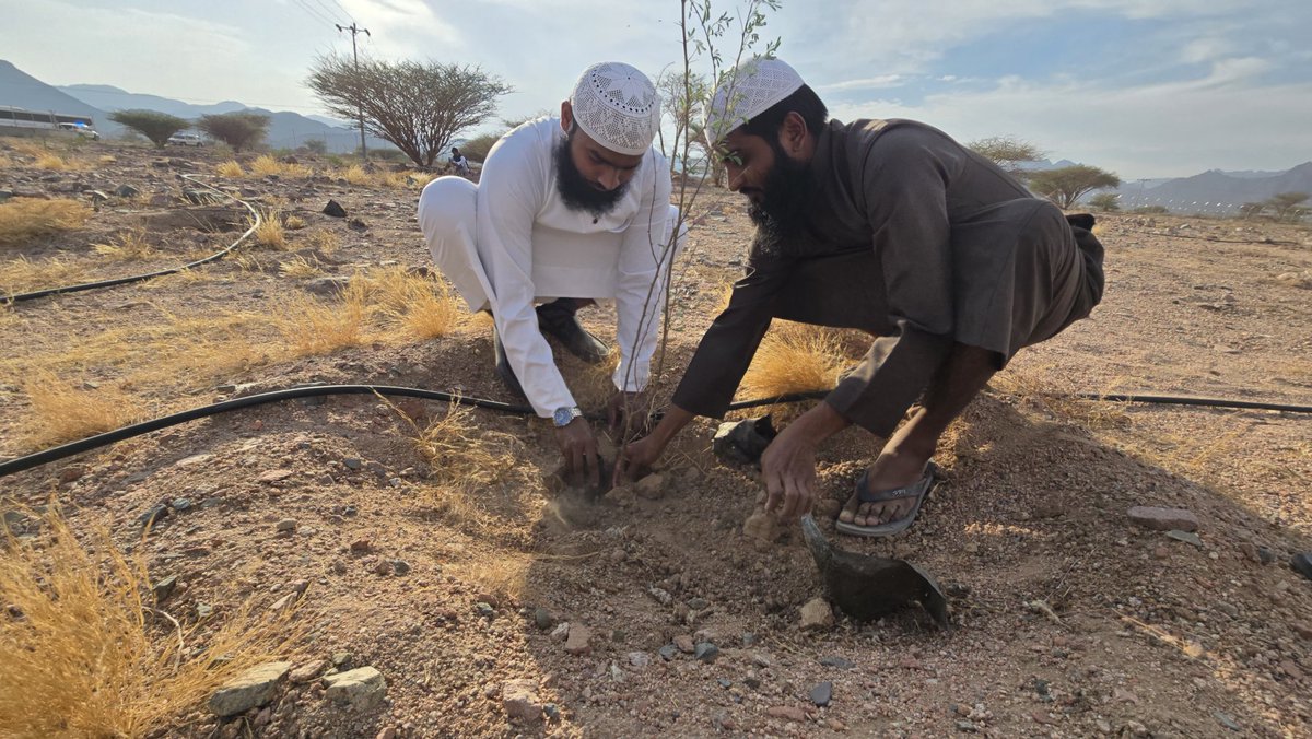 ALRASEE2's tweet image. #يد تغرس وأرض تزدهر 
مشاركتنا في موسم التشجير لهذا العام بمتنزه البيضاء بمنطقة المدينة المنورة.