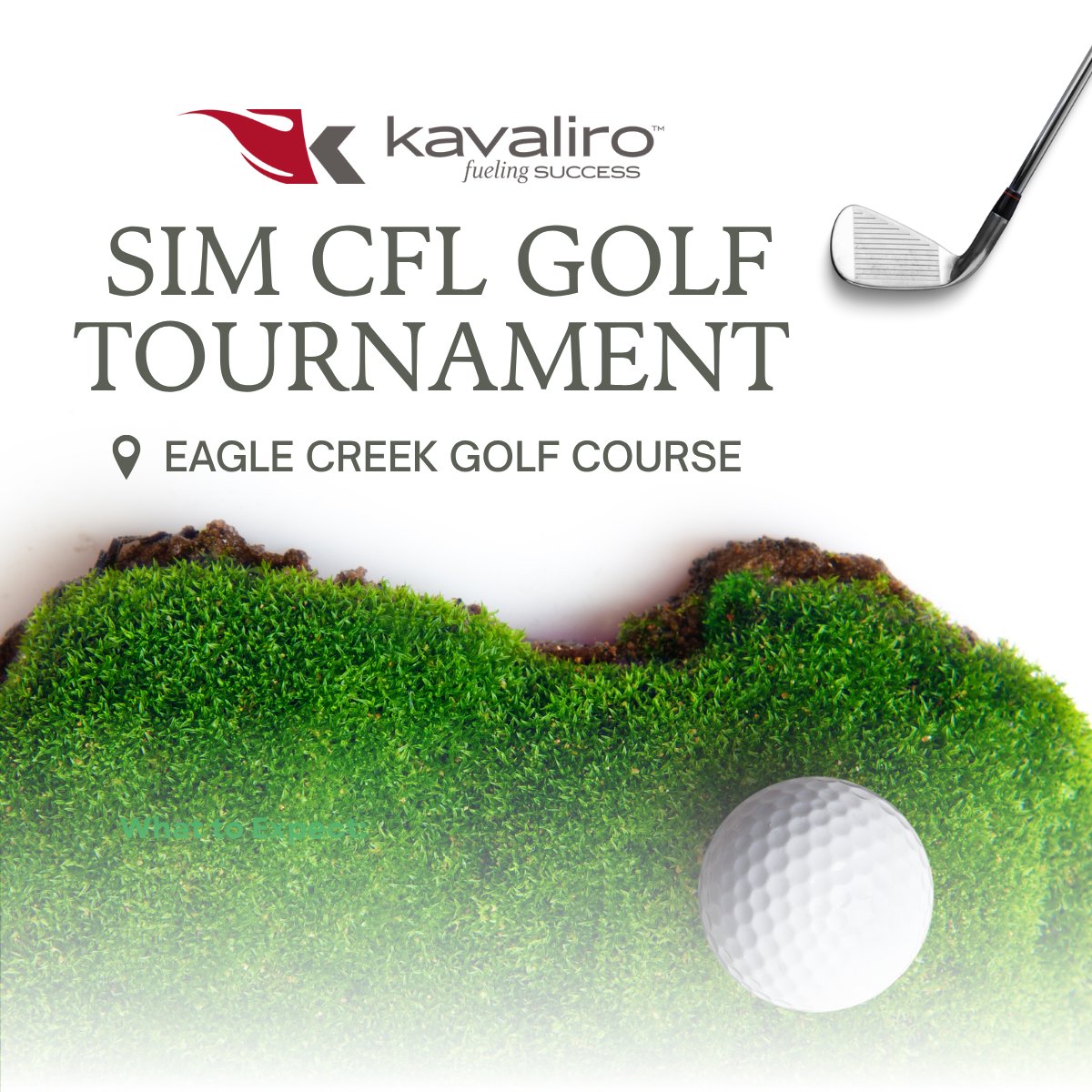 Kavaliro tweet media