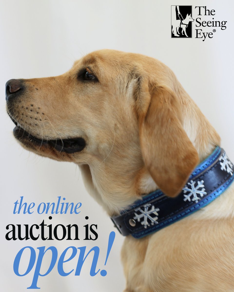 The Seeing Eye tweet media