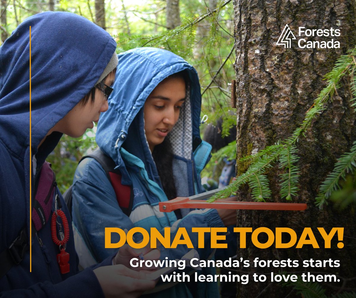 forestscanada's tweet image. Did you know our forest education programs have been informing and inspiring students and educators for over 60 years?
 
Learning about Canada’s forests doesn’t have to feel like homework – it can be a tree-mendous adventure for everyone! From informative presentations and…