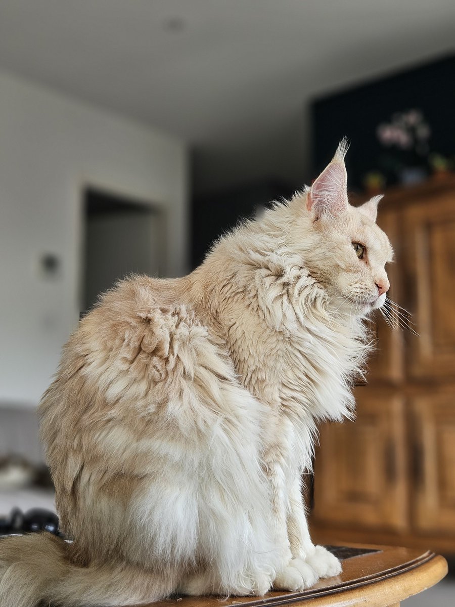 Mathookee's tweet image. Cc loulou