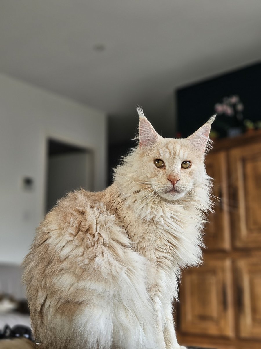 Mathookee's tweet image. Cc loulou