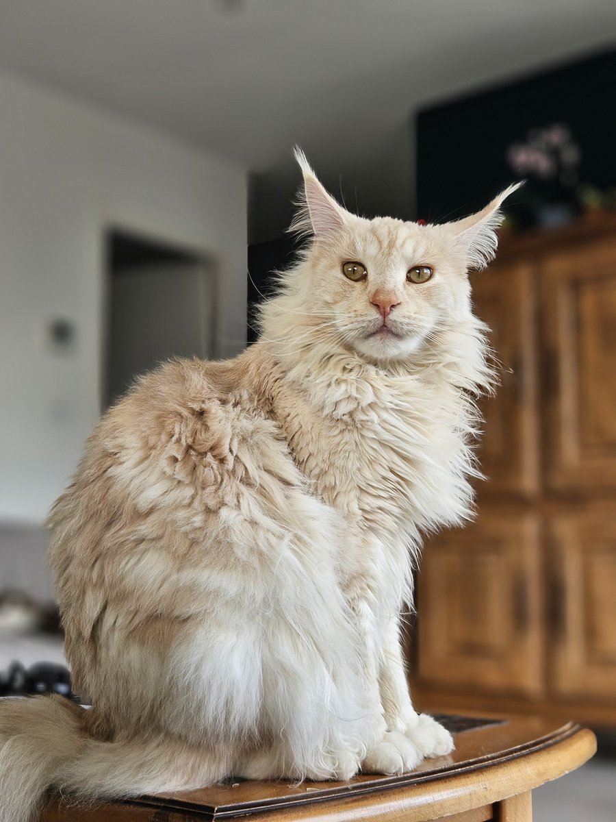 Mathookee's tweet image. Cc loulou