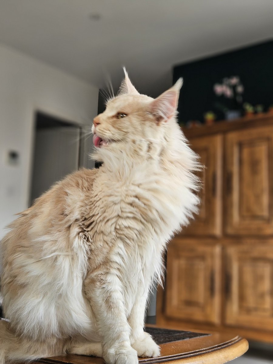 Mathookee's tweet image. Cc loulou