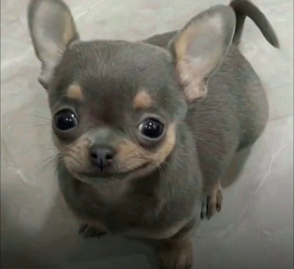 Derhego2's tweet image. 