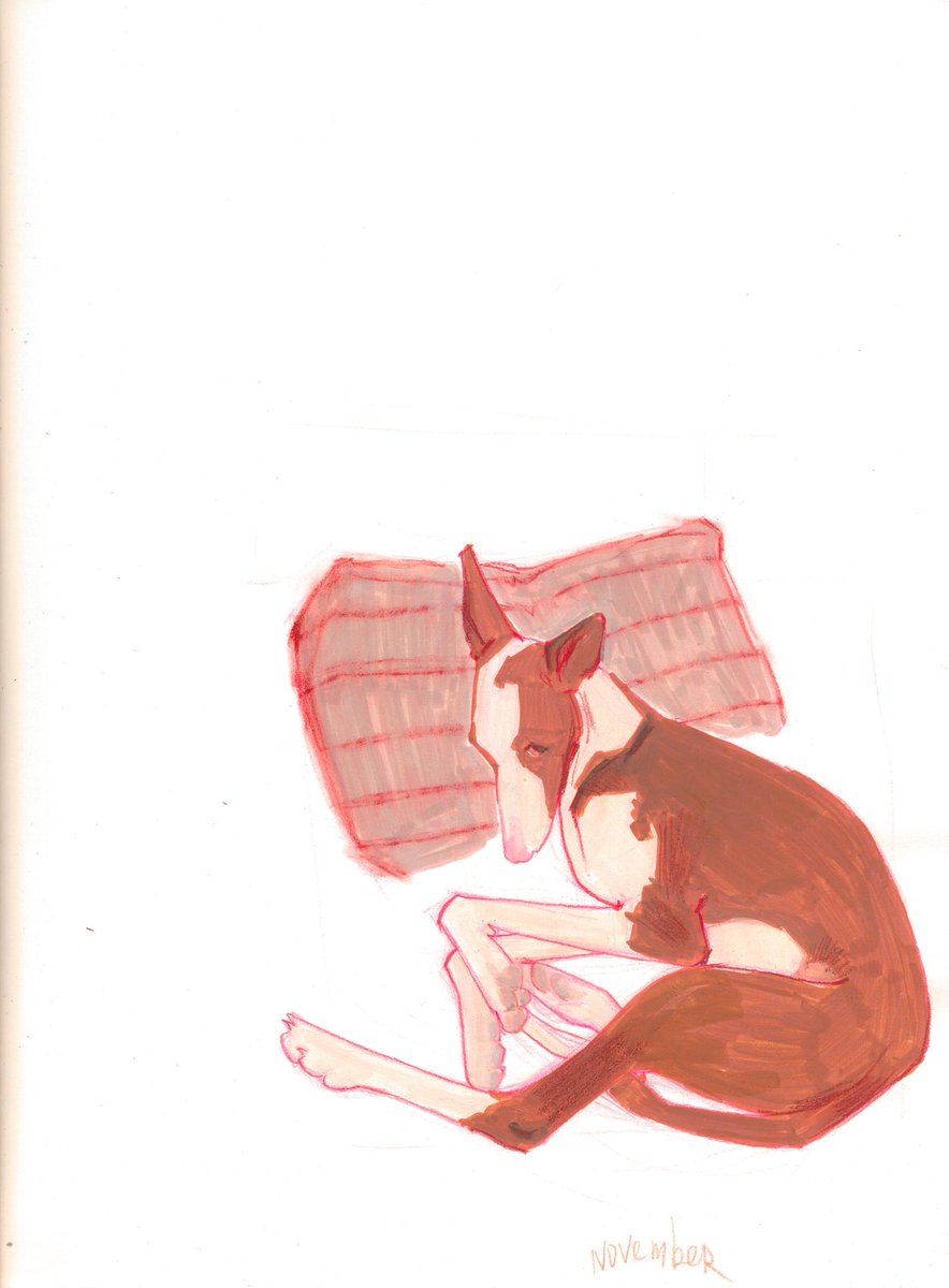 не могла пройти мимо этого делового носа на подушке и не нарисовать
✍️