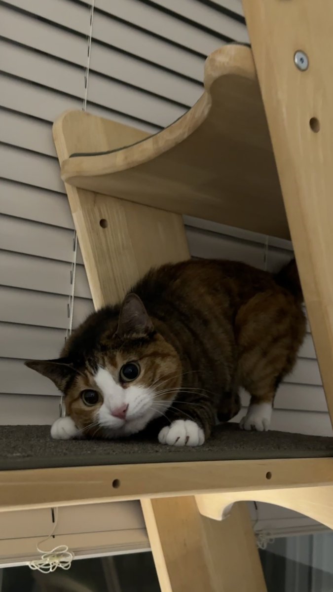 v2soo2's tweet image. 