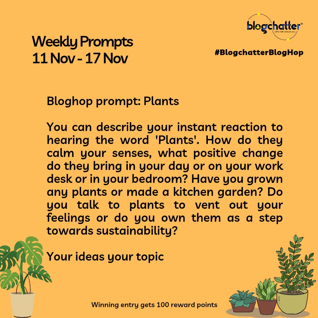 memoviesmore's tweet image. The Marigold theblogchatter.com/blogrolls/the-…  @blogchatter #blogchatterbloghop