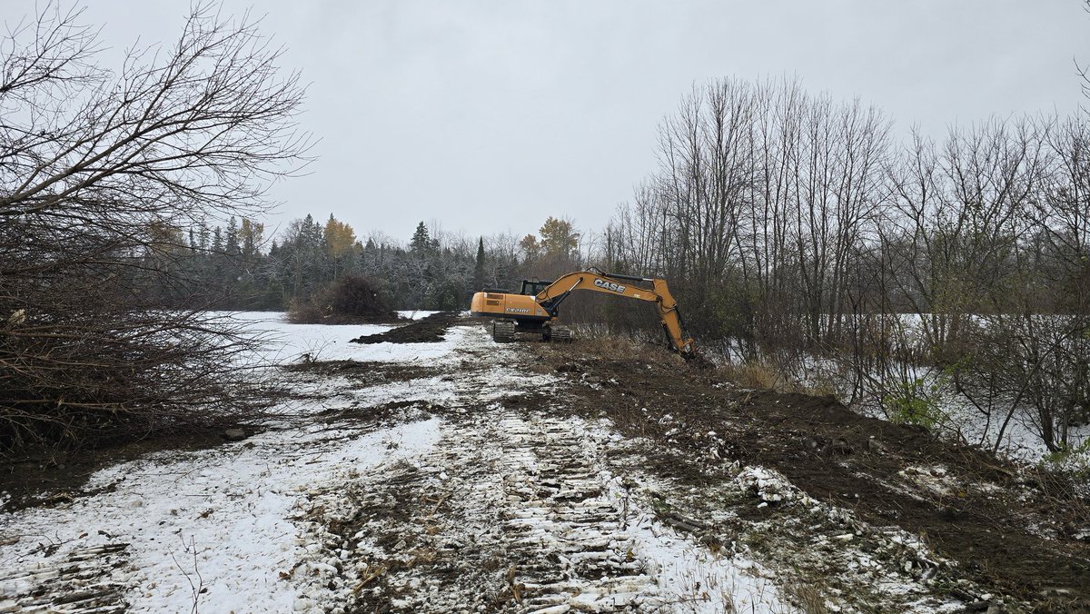 A long overdue ditch cleaning is finally happening.  We've got a lot of outlets across 5 farms draining into this one so I'm quite pleased to see the work actually happening.   #ontag