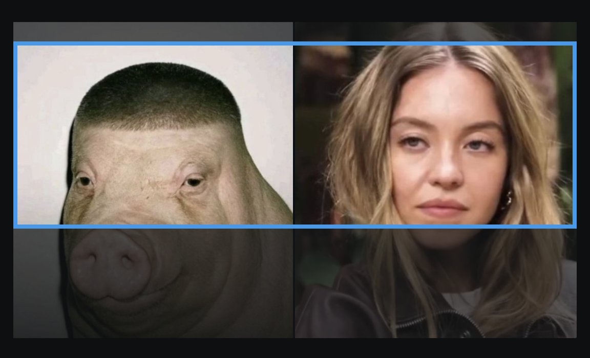 junyongz's tweet image. How do I fit this into my header?