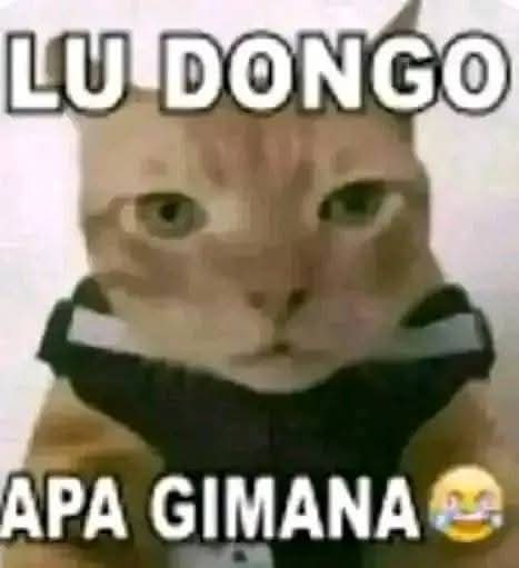 traisstudy's tweet image. Soal PM kalo bisa ngomong :