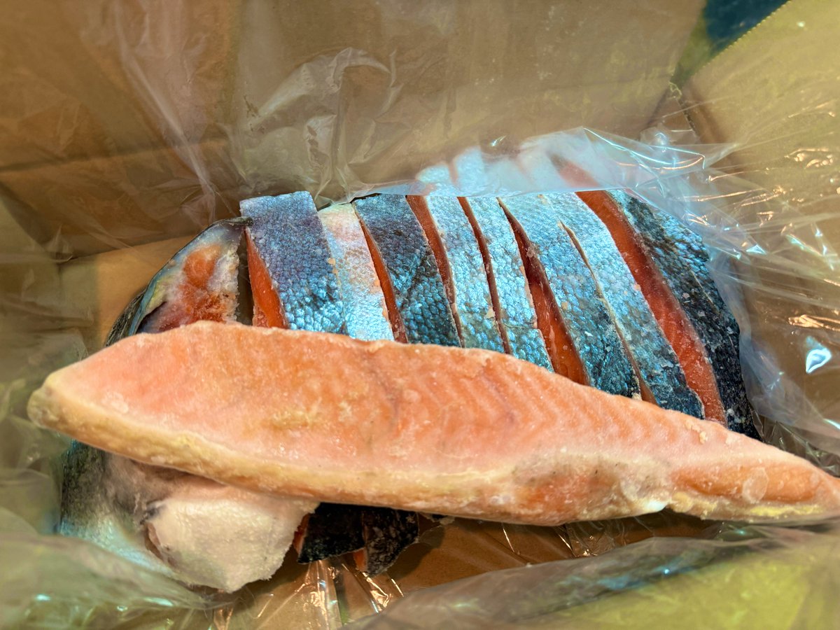 キタァァァァァァーー！！！！🐟