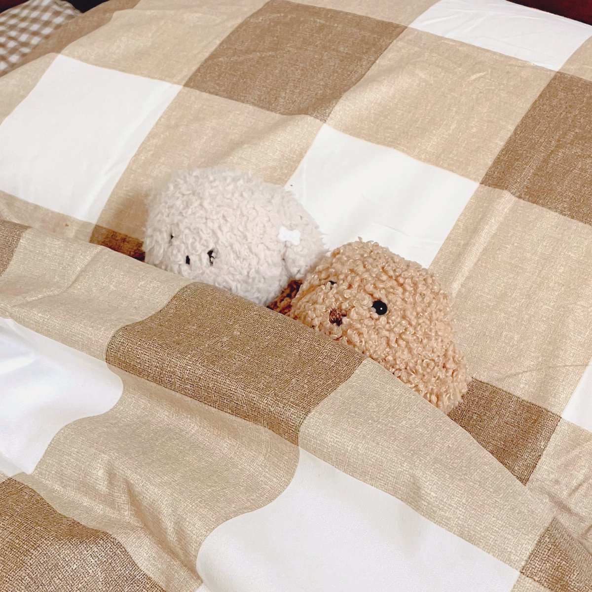 友達が遊びにきた

人間がこたつでまったりしているとき
そのぬいたちは布団でぬくぬくしていた

#ぬいぐるみの時間