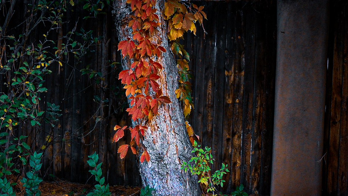 objetsdot's tweet image. We need more photography on 𝕏!📸

If you agree, post a picture!