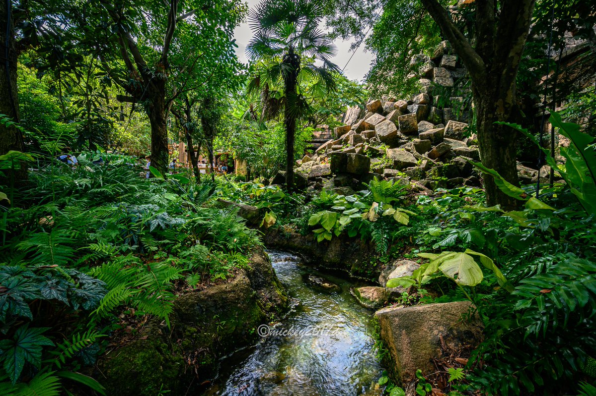 mickey2017d's tweet image. 実はここ、ディズニーシーです！