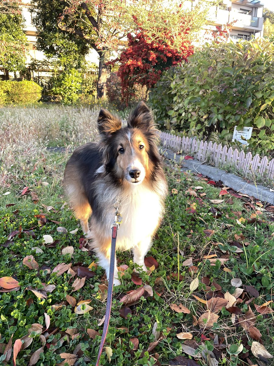 ランママ🇺🇦 on X