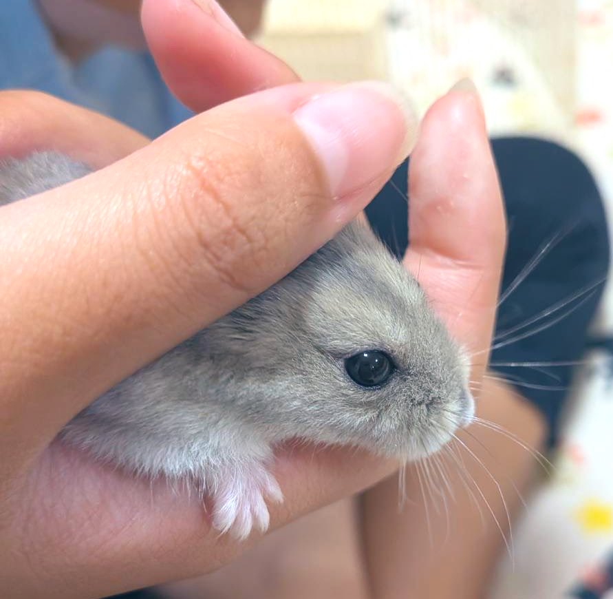 なか👧👧🐹 (@M0ig2THmgmXs9eE) / Posts / X