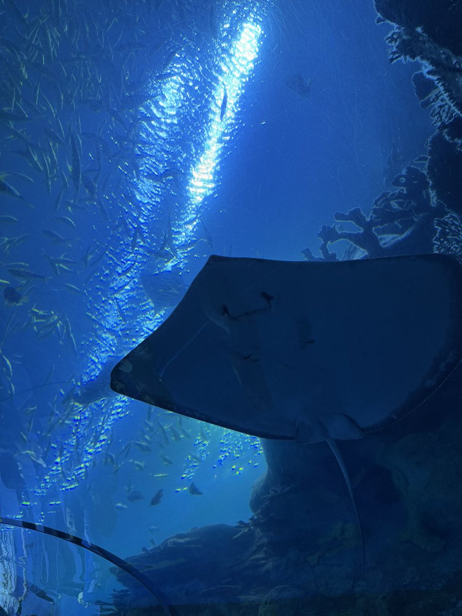 减了20斤左右了现在 感觉自己好厉害没想到会坚持这么久。。。不过减了20斤依然没达到理想体重继续加油！瘦下来感觉生活变得非常的美好。。