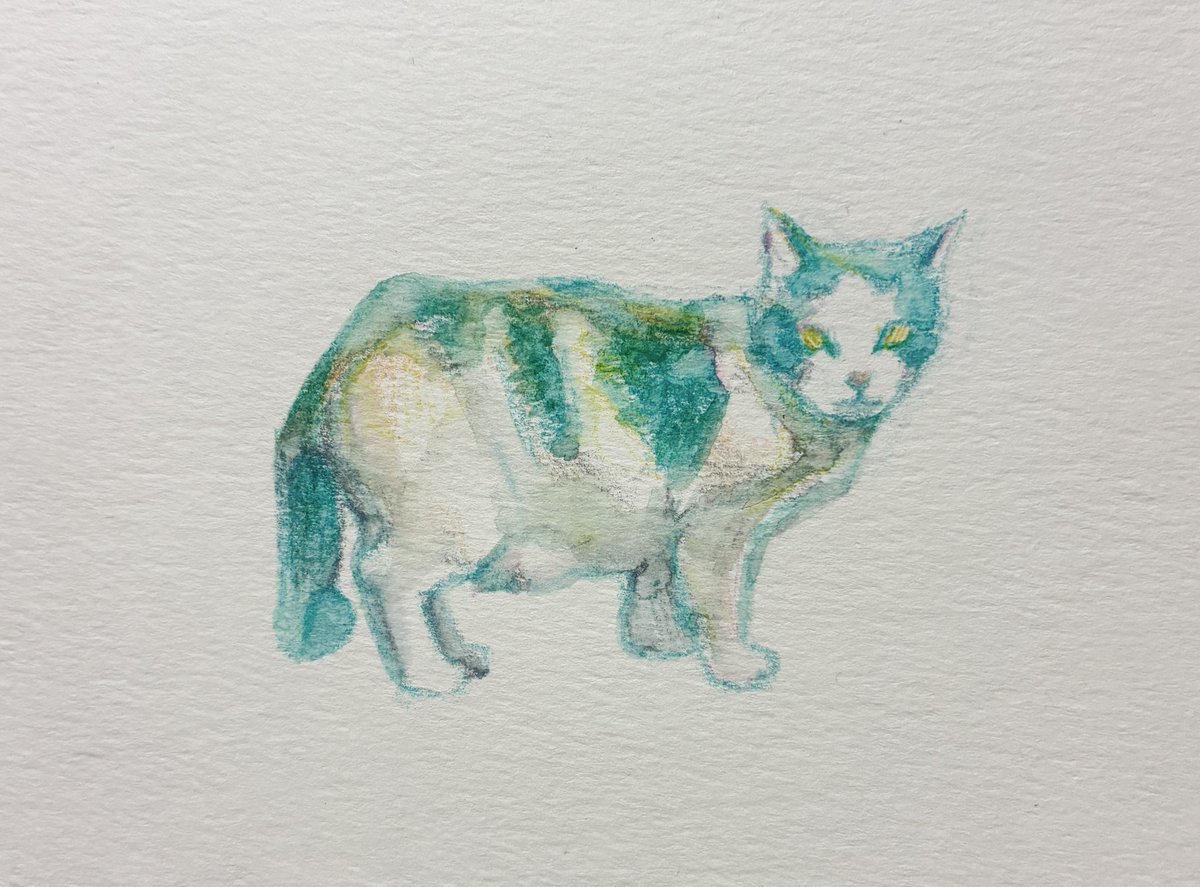 ねこ