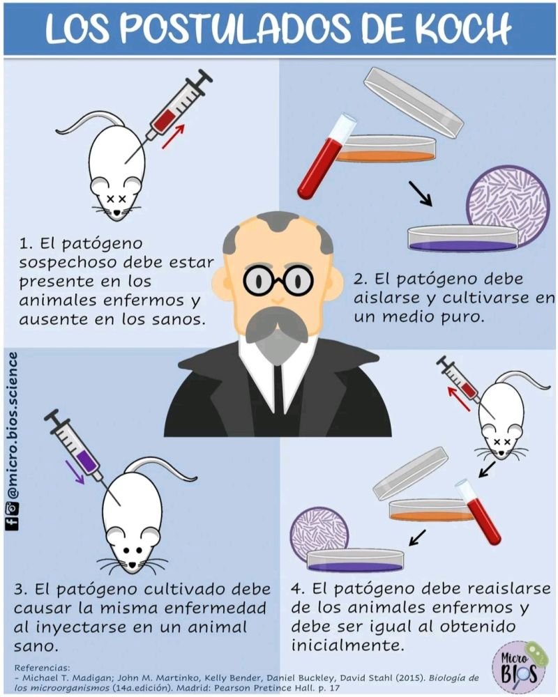 alfwarrior's tweet photo. 🧵
Estos años, sorprendentemente, se ha hablado mucho de los POSTULADOS DE KOCH, como siempre según convenía. No puedo negar que fueron un avance increíble. Obviamente, tiene su valor, pero en el el contexto de 1884. Obviamente Koch no podía contar con los avances...
1/12 https://t.co/ePeRWyNyWd