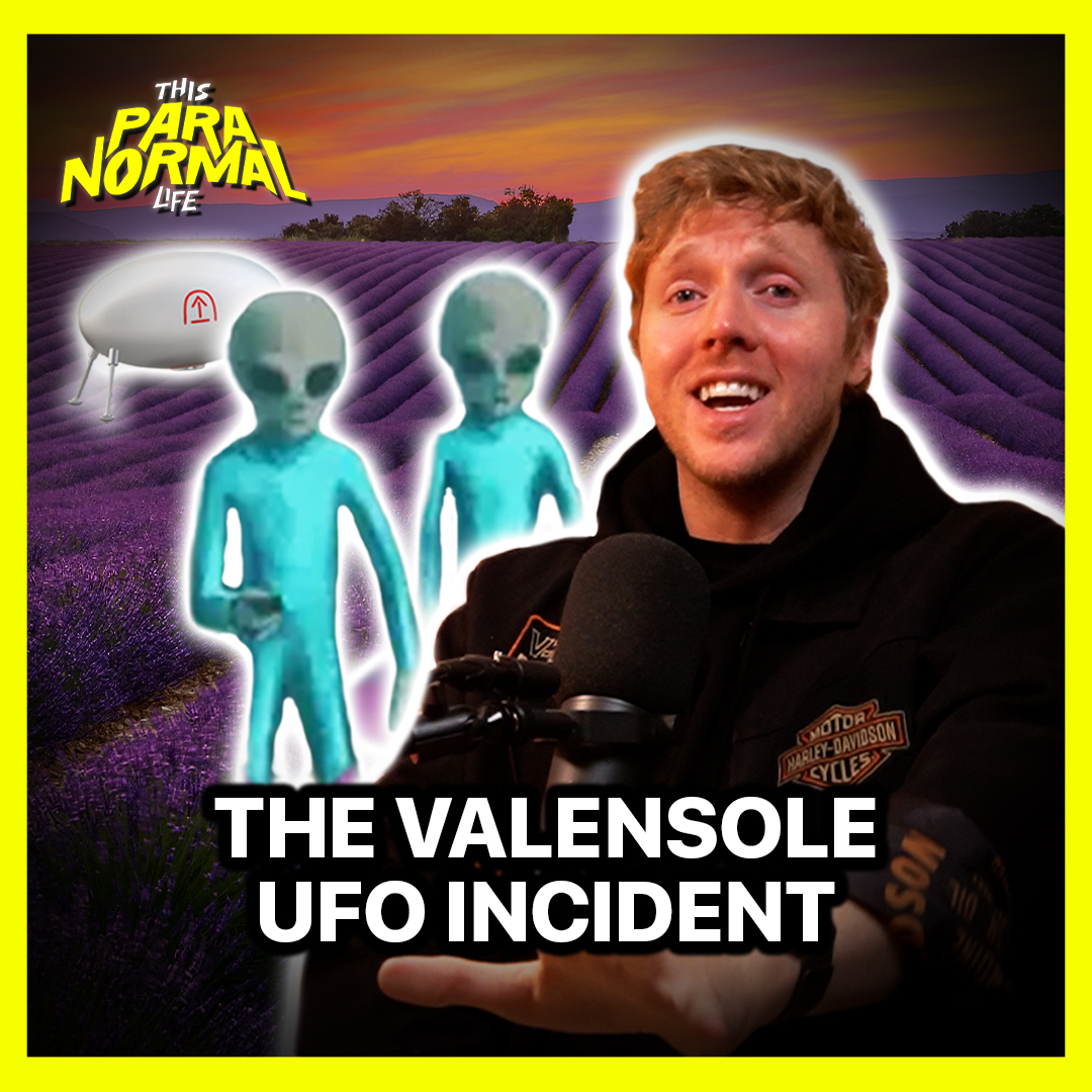 This Paranormal Life tweet media