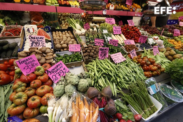 ¿Cuánto ha subido la cesta de la compra de la dieta mediterránea?

Comprar legumbres y hortalizas frescas es un 99 % más caro que hace diez años, periodo en el que los huevos se han encarecido un 76,8 % y las frutas un 52,8 %.

Por Lucía Ruiz Simón

efe.com/?p=2284356