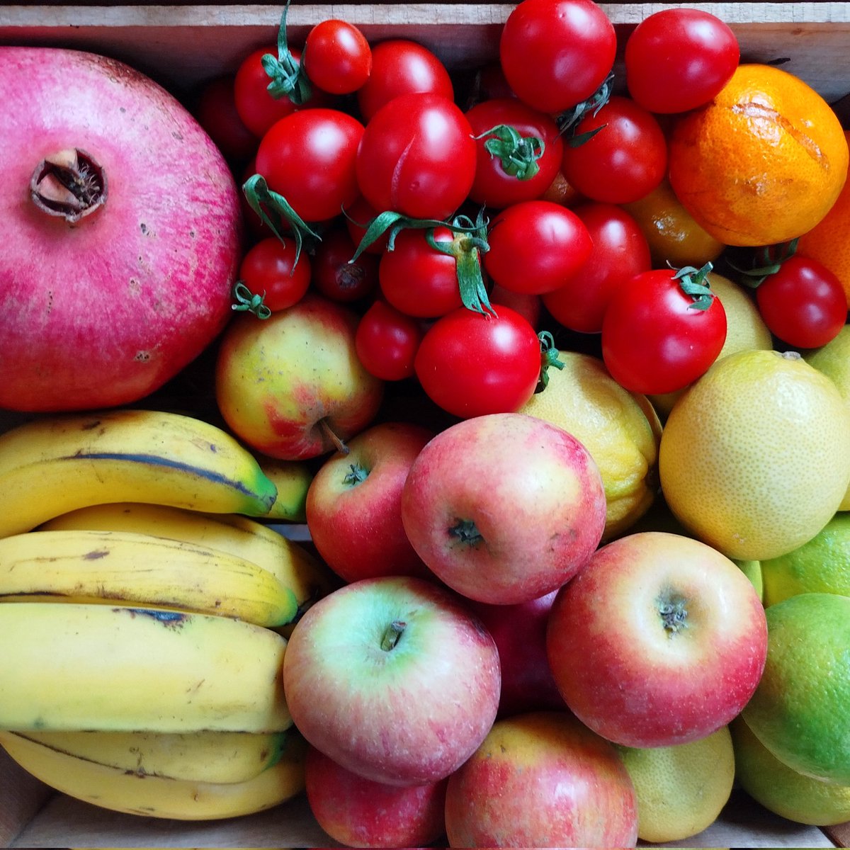 GoztepeKoop's tweet image. Enerji veren meyveler, doyurucu sebzeler, miss gibi yeşillikler, kooperatifte 💚💙

#göztepekoop #kooperatif #kooperatifçilik #dayanışma #tazesebzemeyve #gıdahakkı #gıdaegemenliği #yaşamıbirlikteörgütlüyoruz