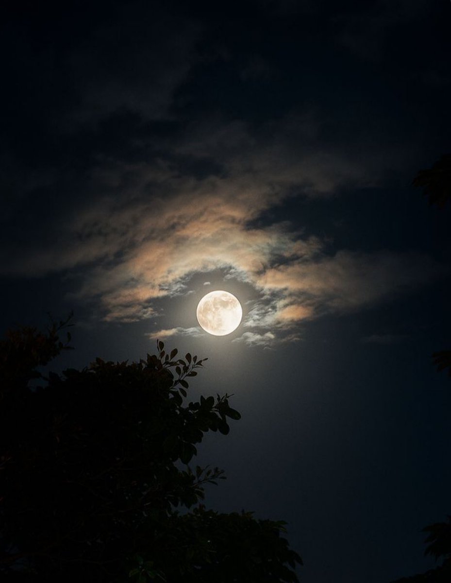 joacar721's tweet photo. Con su brillo suave y plateado, la luna nos muestra que en la profundidad de la oscuridad, se puede dibujar un cielo de posibilidades. https://t.co/jkkiG6rByX