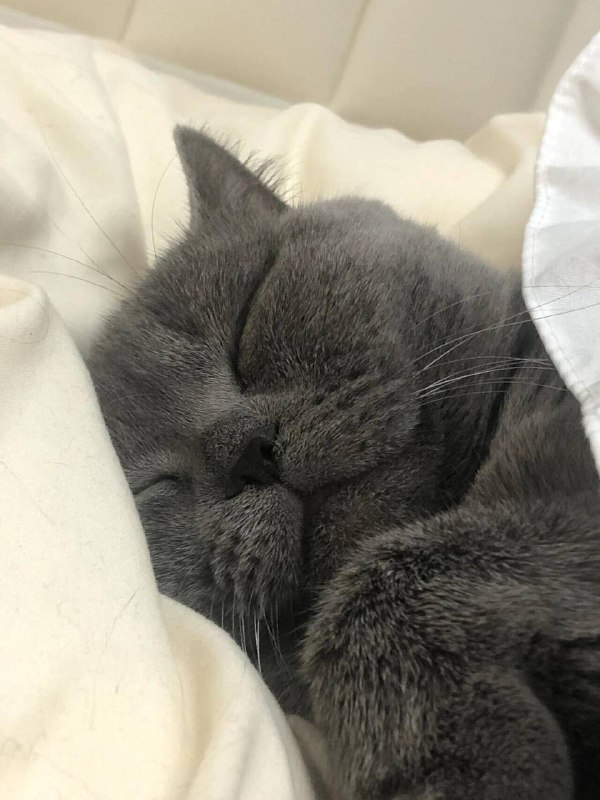 It's drizzling outside, the air is cool, perfect for snuggling on the sofa with a cup of hot tea.
I gave myself a break—it's nice to relax once in a while.
The rain stopped today, and I'm back.