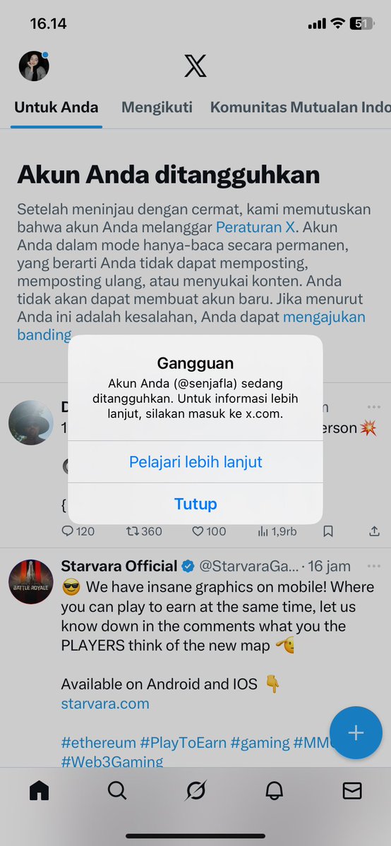 lcanguor's tweet image. 