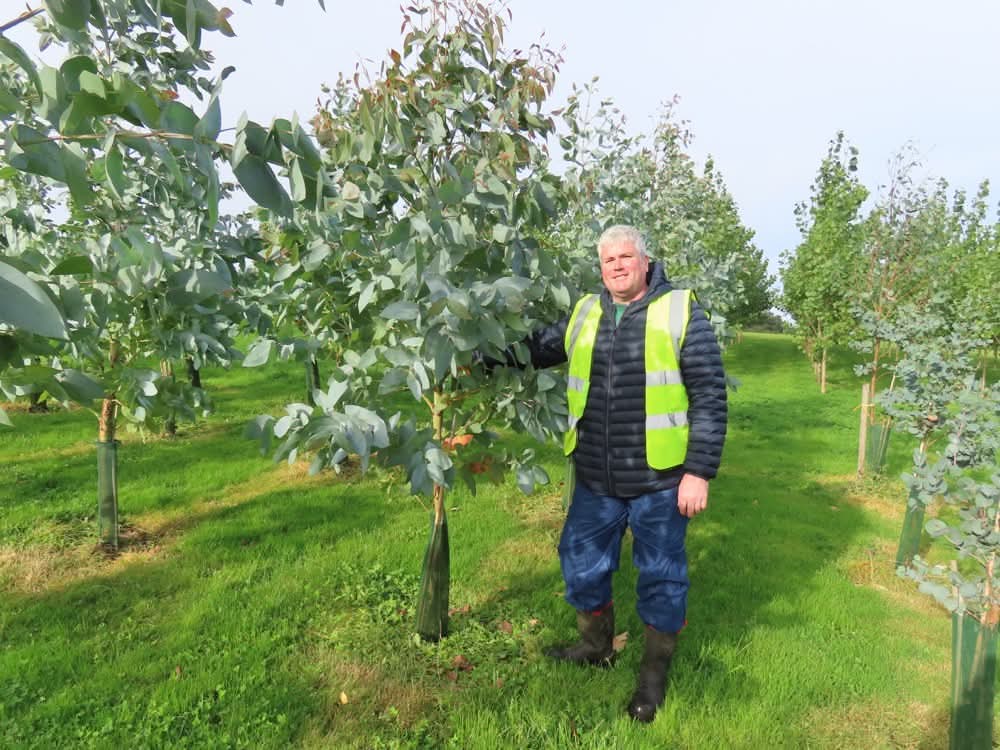 Biomass Connect tweet media