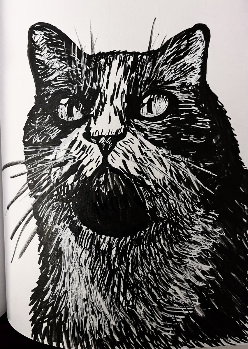 #Cat